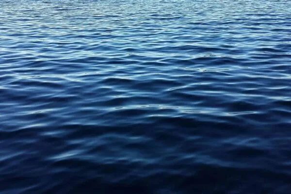 Choosing Not to Forget