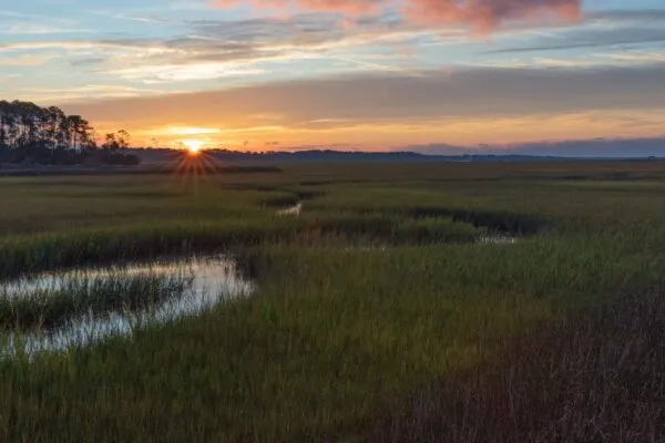 ENVIRONMENTAL ENGINEERING FIRM RE-INVENTS STEAM-ERA TECHNOLOGY TO RESTORE SALTMARSHES