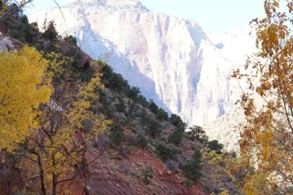Accessing the National Parks