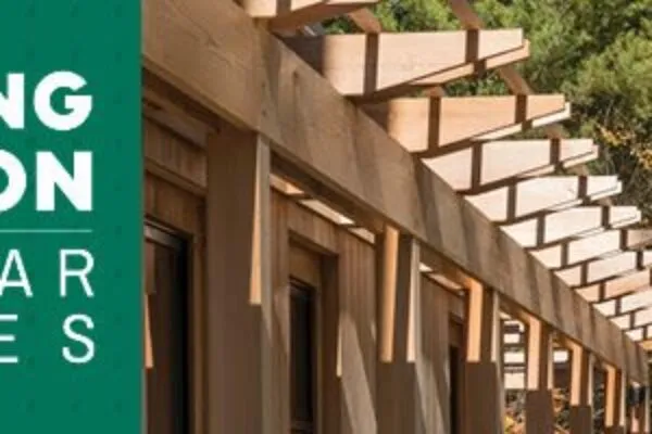 “Cutting Carbon”&nbsp;Webinar Series to Feature Multidisciplinary Perspectives on Reducing the Embodied Carbon of Building Projects