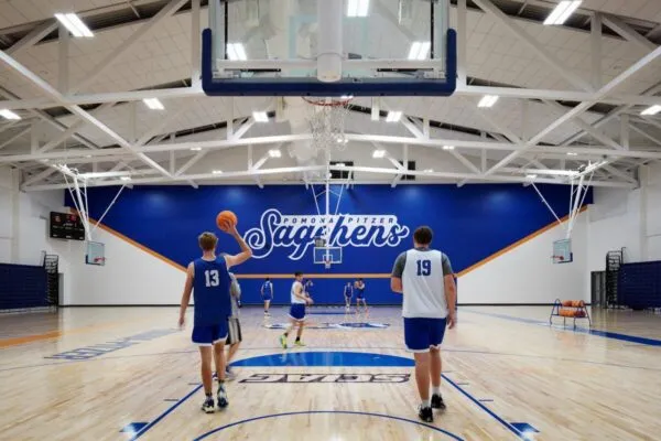 More than a Game: 金刚生态app官方下载苹果版